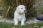 IMG_2550.JPG