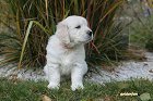 IMG_2553.JPG