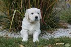IMG_2554.JPG
