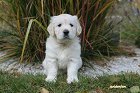 IMG_2555.JPG