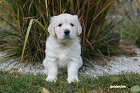 IMG_2559.JPG