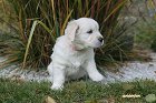 IMG_2562.JPG