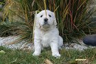 IMG_2563.JPG