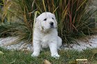 IMG_2569.JPG