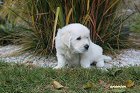 IMG_2580.JPG