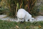 IMG_2582.JPG
