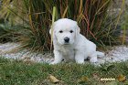 IMG_2584.JPG