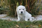 IMG_2585.JPG