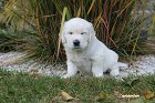 IMG_2591.JPG