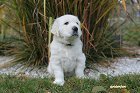 IMG_2598.JPG