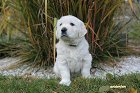 IMG_2602.JPG