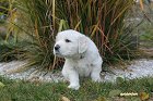 IMG_2606.JPG