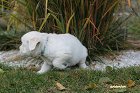 IMG_2610.JPG