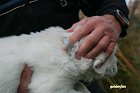 IMG_2611.JPG