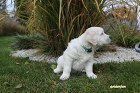 IMG_2380.JPG