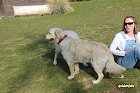 IMG_3493.JPG