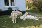 IMG_3509.JPG