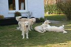 IMG_3511.JPG