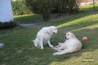 IMG_3528.JPG