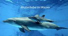 im Wasser.jpg