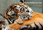 im Zoo.jpg
