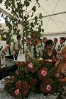 Scheibenfest 208.JPG
