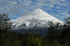 DSC_4290.jpg