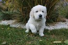 IMG_2413.JPG