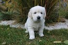 IMG_2414.JPG