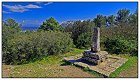 Peste -20- (Copier).jpg
