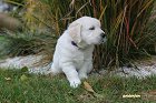 IMG_2421.JPG