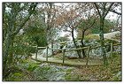 Sainte Anne -12- (Copier).JPG