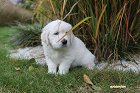 IMG_2425.JPG