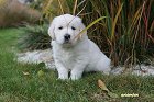 IMG_2427.JPG
