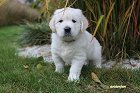 IMG_2429.JPG
