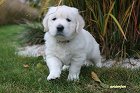 IMG_2431.JPG