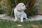 IMG_2446.JPG