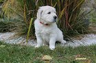 IMG_2449.JPG