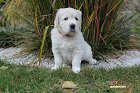 IMG_2450.JPG