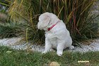 IMG_2458.JPG