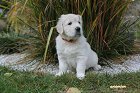 IMG_2464.JPG