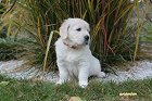 IMG_2468.JPG