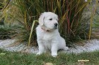 IMG_2469.JPG
