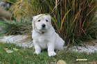 IMG_2480.JPG