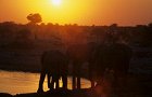 337 Wasserstelle abends.jpg