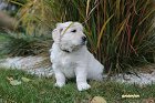 IMG_2483.JPG