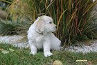 IMG_2486.JPG