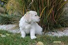 IMG_2487.JPG