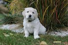 IMG_2493.JPG