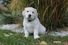 IMG_2494.JPG